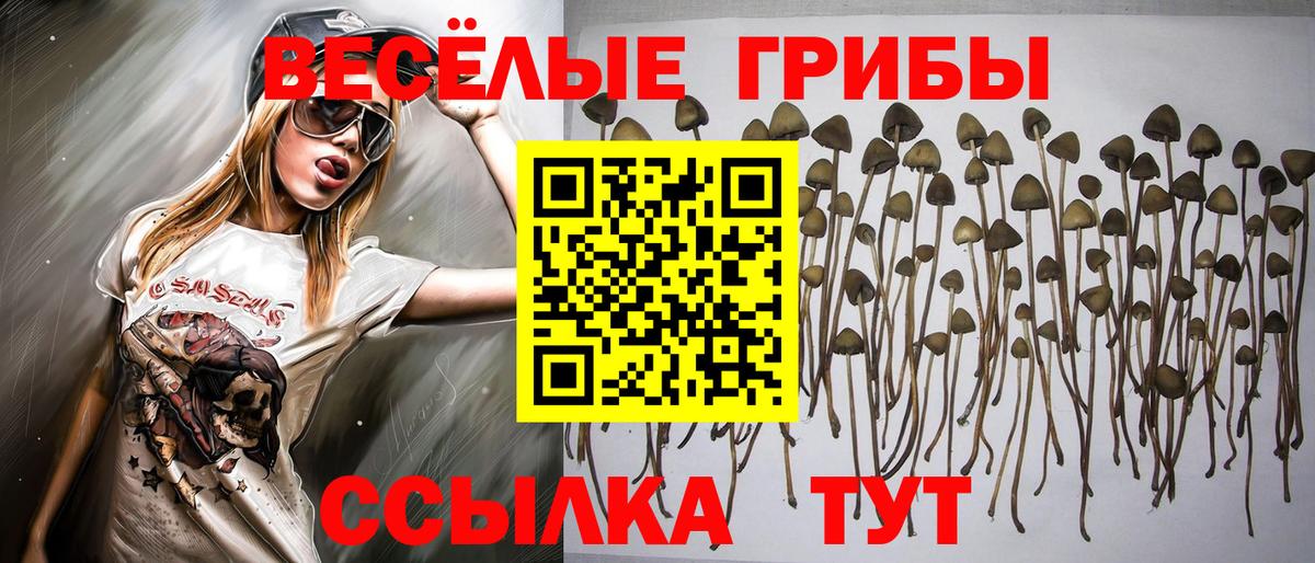 Кимовск  Галлюциногенные грибы ЛСД  Вход с VPN 